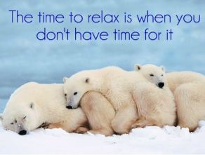 The-time-to-relax-is-when-you-dont-have-time-for-it.JPG2_